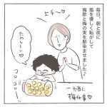 母と梅の実7